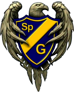 Club Sportivo Guadalupe